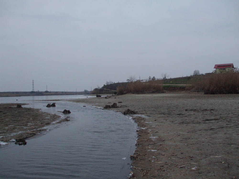 TANCABESTI SECAT - DSCF3473.jpg